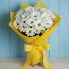 Букет цветов из:  Хризантемы в Белоярском Свердловской области