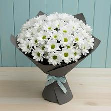 Букет цветов из:  Хризантемы в Белоярском Свердловской области