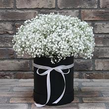 Цветочная композиция из Гипсофила в шляпной коробке #REPLACE_PRED# Белоярском Свердловской области