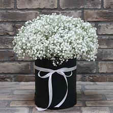 Цветочная композиция из Гипсофила в шляпной коробке в Белоярском Свердловской области