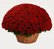 Премиум букет из: Розы #REPLACE_PRED# Белоярском Свердловской области